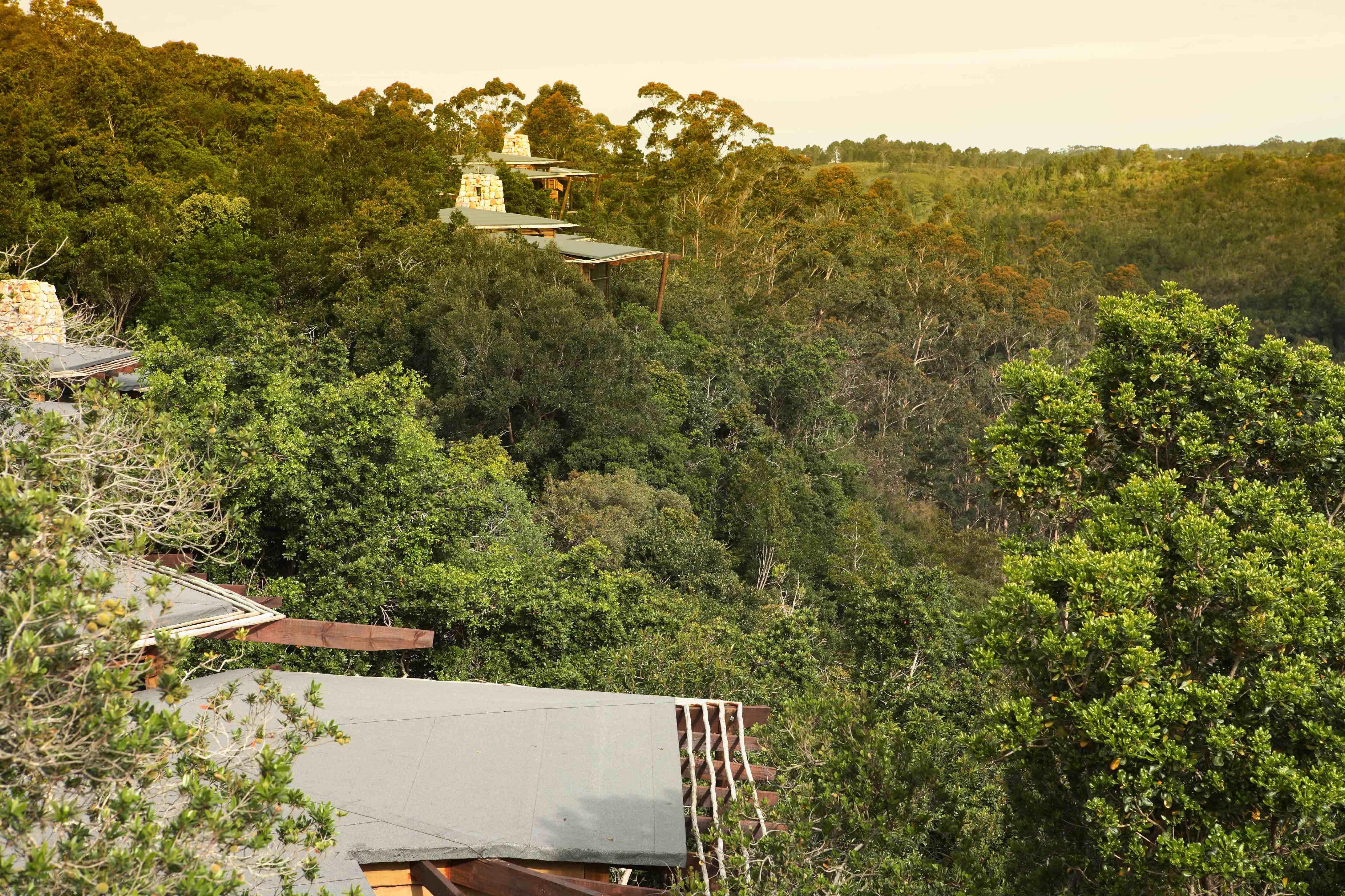 Tsala Treetop Lodge Plettenbergbaai Buitenkant foto