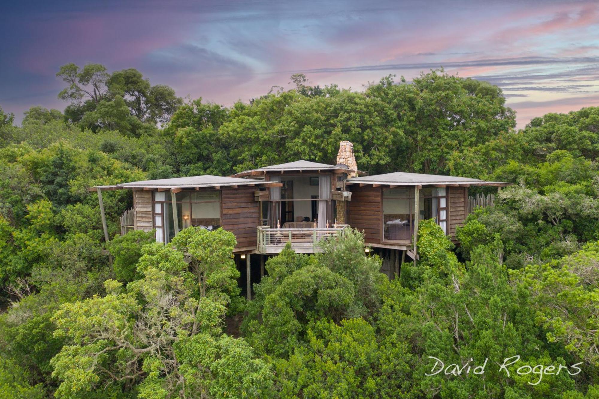 Tsala Treetop Lodge Plettenbergbaai Buitenkant foto