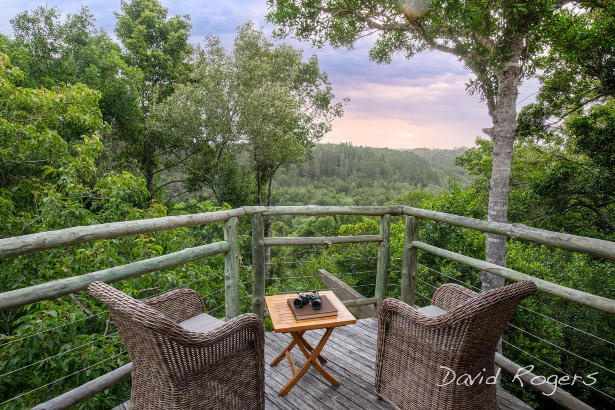 Tsala Treetop Lodge Plettenbergbaai Buitenkant foto