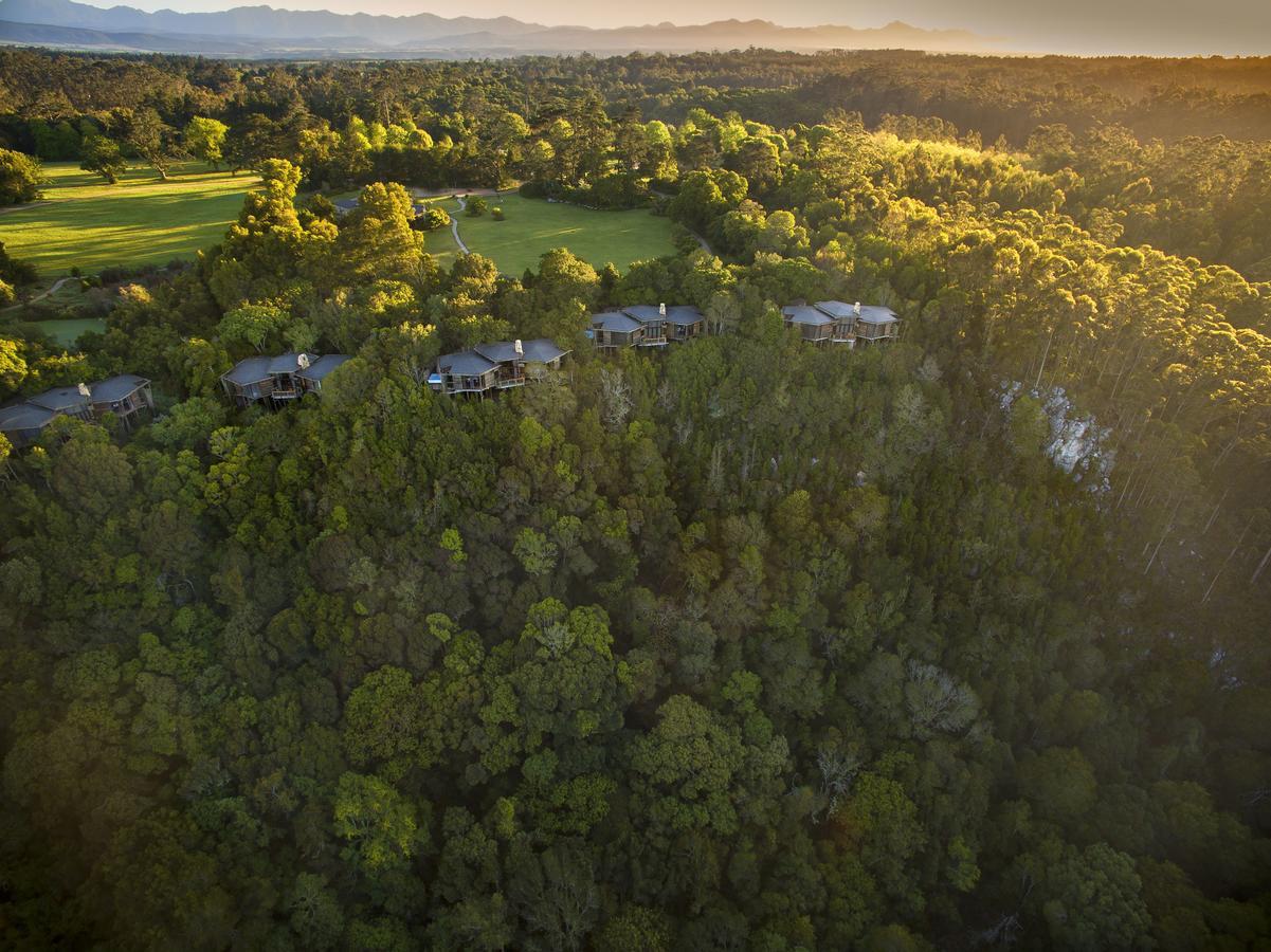 Tsala Treetop Lodge Plettenbergbaai Buitenkant foto