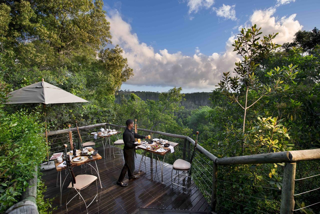 Tsala Treetop Lodge Plettenbergbaai Buitenkant foto