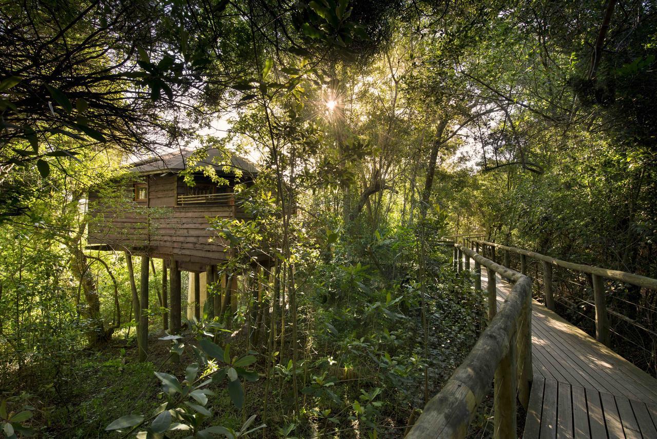 Tsala Treetop Lodge Plettenbergbaai Buitenkant foto